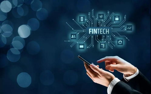 掌阅科技连板背后的力量 信息技术咨询服务的崛起与资本市场的热捧